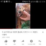 [드루와] <b>유튜브</b>보다 개빡침 들어와봐