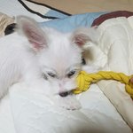 [댓글부탁해] <b>이</b>새끼가 나 눈감고 누워있는데 <b>눈</b> 깨묾