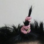 [댓글부탁해] 나 <b>삭발</b> 3개월차 머리 드디어 묶인다