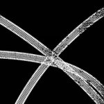 [EXO] 중간에 S맞지?