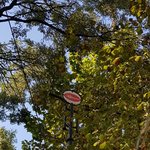 [개깊은빡침] <b>종로구</b> 가로등 욱일기 디자인