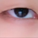 쌍커<b>풀</b>의 중요성
