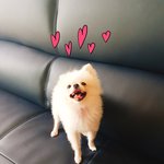 웃는게 이쁜 울 오리 좀 봐주세요 ㅎㅎㅎ