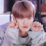 [NCT] 시티들 따순 분위기 너무 좋아