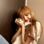 [ㅈㄱㄴ] <b>이빨</b> 깨진거 치료하면 얼마지?