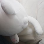 사진에 이거 뭐임...?