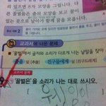 간절기 알레르기 개빡친다