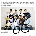 [EXO] 이거 쓴년이거든
