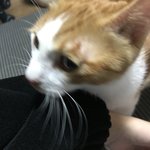 [댓글부탁해] 나 옷<b>산거</b> 개망했는데...ㅋㅋㅋㅋㅋ;;