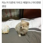 [드루와] 애들아 너네들 캔<b>메이크</b> 왤케 싫어함?