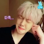 월간아이돌 하는중인데