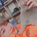 [강다니엘] 귤깅이랑 오리 8ㅅ8ㅅ8ㅅ8ㅅ8ㅅ8