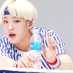 [세븐틴] 내가 제일 아끼는 호시<b>GIF</b> 네장