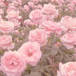 [댓글부탁해] 대학 면접 꿀<b>팁</b>쓰 <b>공유</b>해줘ㅠㅠ