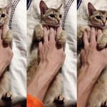 [강다니엘] 다니엘 손진짜 <b>설레</b>