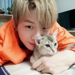 [강다니엘] 강다니엘 공카프사 변경 ٩(๑❛ᴗ❛๑)۶