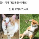 [드루와] 나만 겪었을 거 같은 거 썰풀자