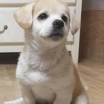 <b>절미</b>는 좋겠다..