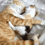 여자님들아 도와<b>주</b><b>셈</b>