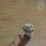 [댓글부탁해] 이정도면 양아치임???