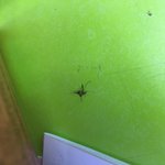 [댓글부탁해] 모기새끼 내 앞에서 <b>나대</b>나가 죽었대여