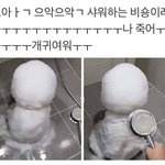 [추반] 쿠션 , 파데 추반 좀
