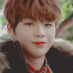 [강다니엘] 강다니엘 복슬복슬 털찐머리 예뽀