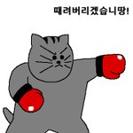 <b>땅땅</b>이 아는 사람 있어? 개기여움 ㅠㅠㅠㅠ