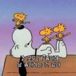 여고 <b>적응</b>하는 꿀팁 한개씩 쓰고 가기 !