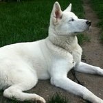 [19] <b>랜챗</b> 하는 사람..