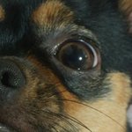 [드루와] 얘들아 우리 멈<b>무미</b> 눈동자색 쫀예임