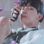 [방탄소년단] 타팬인데 제이홉