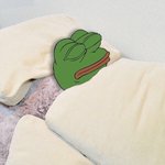 혹시 <b>무리</b>에서 떨궈진 애 있어?ㅠㅜ
