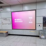 11월 트와 백퍼 컴백함