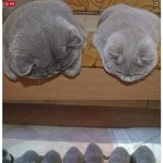 셤끝나고 <b>롯</b>월로 현체 가는데 코디 이거 ㄱㅊ?