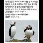 [댓글부탁해] 너네 반 애가 웹<b>소설</b> 쓴다 그러면 어떰??