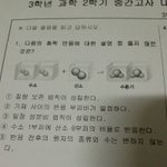 [조언부탁해] 중3과학 <b>화학</b> 질문 ㅠㅠㅜ