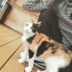 [드루와] 냥이<b>집사</b>들 들어와줘!