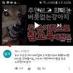 ㅊㅈㅂ사건 있잖아