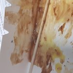 너네 푸드<b>트럭</b> 조심하셈