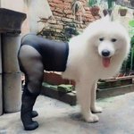 [19] 하얀 피부에 <b>검스</b>