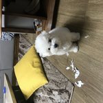 [EXO] <b>사고침</b>