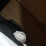 내 <b>필통</b> 한 번씩만 봐주라