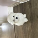 [EXO] 더 뿌릴게