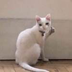 [방탄소년단] 리젠 실화야..?ㅠ