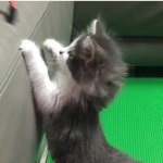 [EXO] ㅠㅠ민석이 여동생이