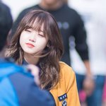 [드루와] 니네 프듀 1.2때 <b>고정</b>픽 누구였음