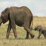 [댓글부탁해] 22살 여자 모솔<b>아다</b> 전세계에 몇명있을까