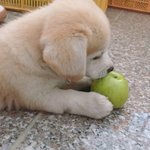 [댓글부탁해] 짱<b>절미</b>ㅠ