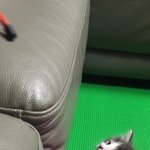 [EXO] 탄이 <b>아가때</b>...